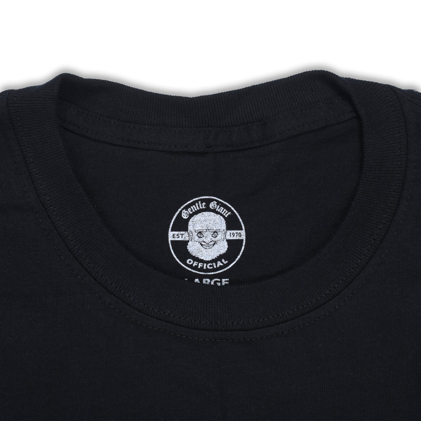 In a Glass House Short Sleeve T-Shirt