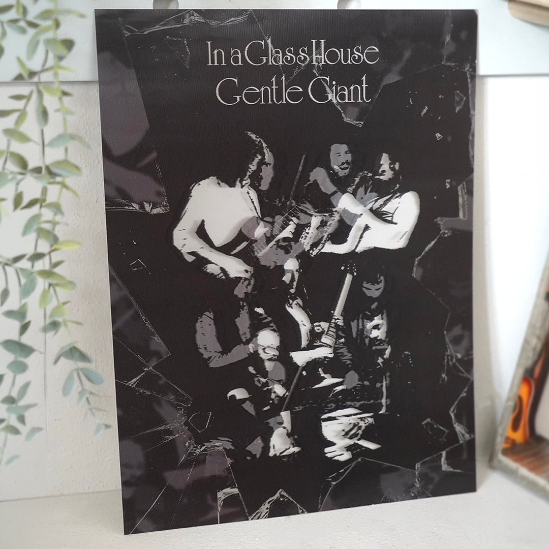 In a Glass House Limited Edition Lenticular 3D Poster