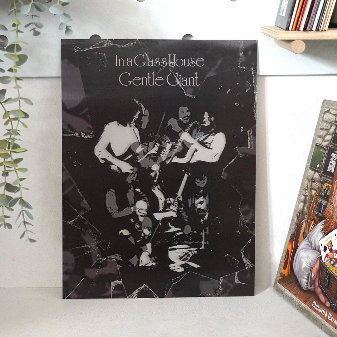 In a Glass House Limited Edition Lenticular 3D Poster